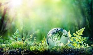 Globe On Moss In Forest - Environment Concept - redução de carbono - economia