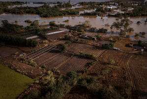 Vista aérea de plantações, casas e ruas alagadas em Eldorado do Sul, no Rio Grande do Sul