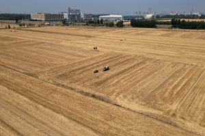 Onda de calor e seca